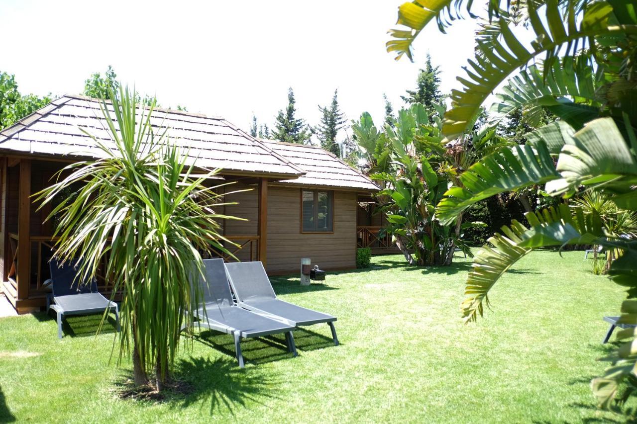 Playa Montroig Camping Resort מראה חיצוני תמונה